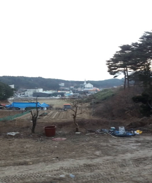 고향/ 김일남 시인