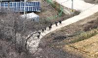  32사단 맹호부대․대전교도소 논산지소 통합방위훈련에 드론 투입